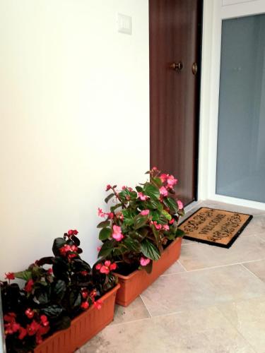 Casa delle begonie, Rome (photo 4)