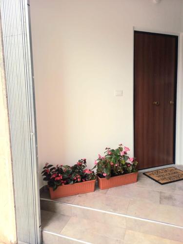 Casa delle begonie, Rome (photo 3)