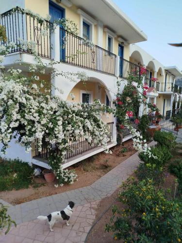 Castellania Hotel Apartments