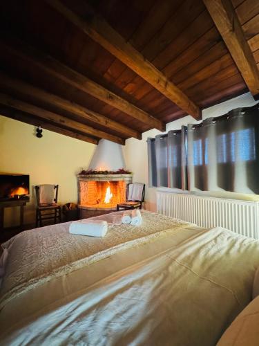 Το σαλέ της παρέας gîte à louer Voiotías