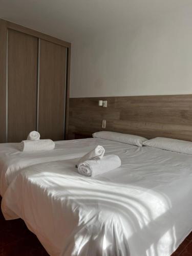 Hotel El Cobertizo - main image