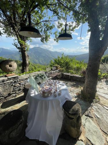 maison de charme avec piscine et vue exceptionnelle in Campitello