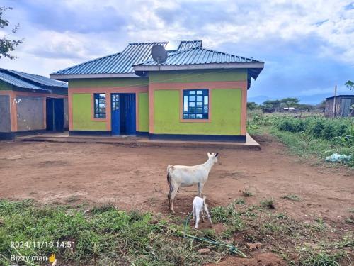 Sammyvero farm in Ziwani