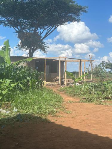 Sammyvero farm in Ziwani