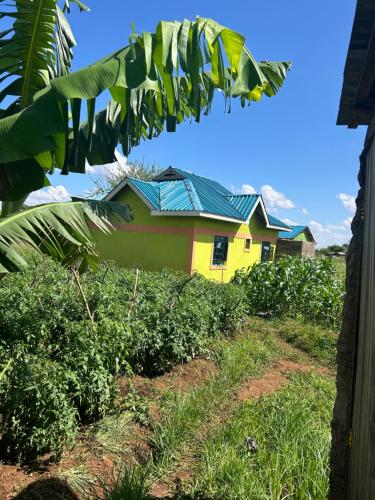 Sammyvero farm in Ziwani