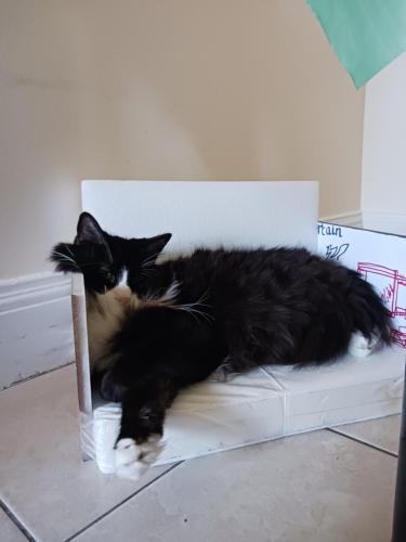 Comfy Room in Fresh Meadows in Queens