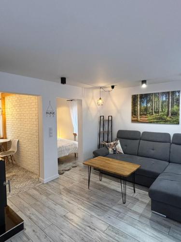 Apartament Klimatyczny z kominkiem, Szklarska Poręba (foto 8)