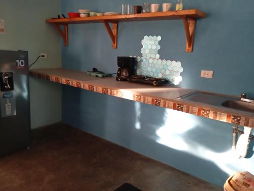 Mono titi third floor in Quepos