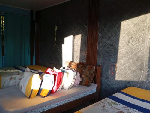 Mono titi third floor in Quepos
