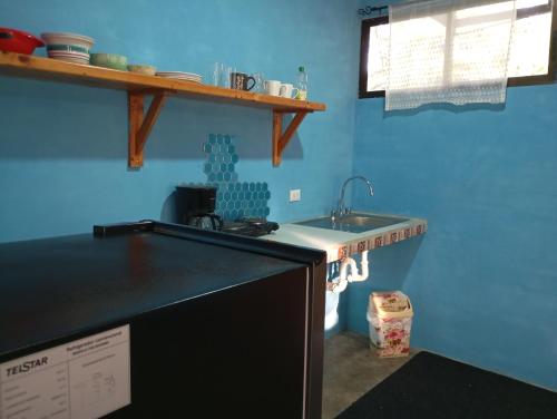 Mono titi third floor in Quepos
