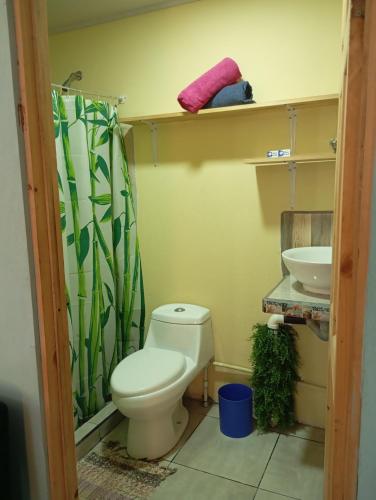 Mono titi third floor in Quepos