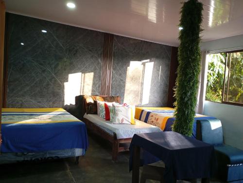 Mono titi third floor in Quepos