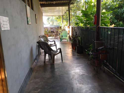 Mono titi third floor in Quepos