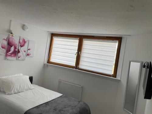 Chelsea best apartment for females only, Londyn (zdjęcie 3)