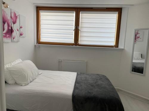 Chelsea best apartment for females only, Londyn (zdjęcie 8)