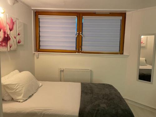 Chelsea best apartment for females only, Londyn (zdjęcie 9)