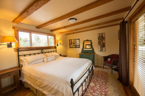 62841858 Blue Iguana Inn