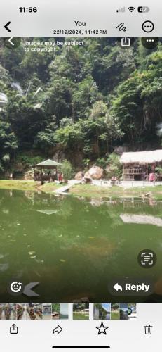 BOTANI LOFT HOMESTAY BOTANI LOFT HOMESTAY