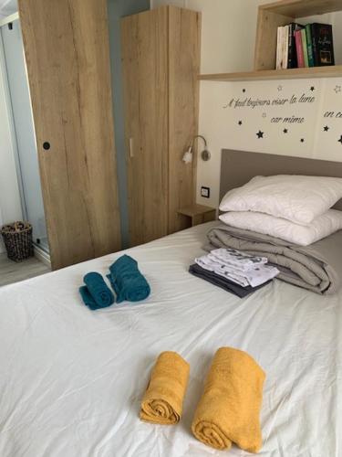 Mobilhome tout confort 40 m2 pour 4 personnes Mobilhome tout confort 40 m2 pour 4 personnes