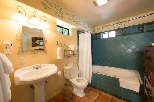 62842148 Blue Iguana Inn