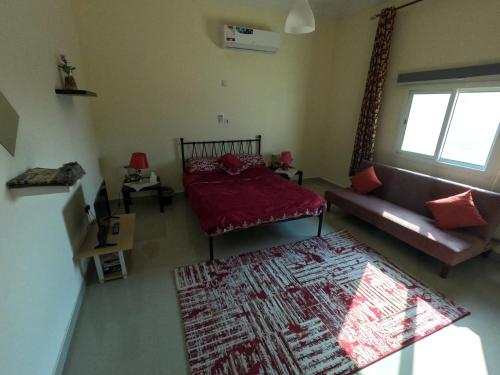 إستراحة شاطئ الشمال North Beach Resort in Al Shamal