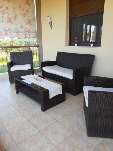 Sea and olive Sea and olive