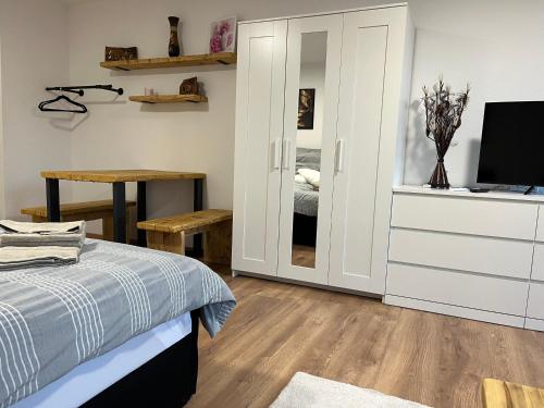 Studio an der Elbe mit Balkon, Küche und Netflix, Drážďany (fotografie 9)