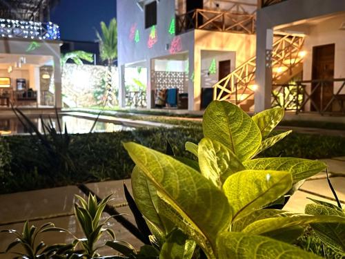 Uitzicht, TATU INN Boutique Hotel WATAMU in Watamu