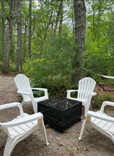 Dārzs, The Giddyup Getaway at The River Haven Sanctuary in Vaiominga (RI)