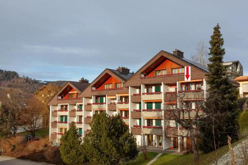 Edelweiss in Charmey, Schweiz