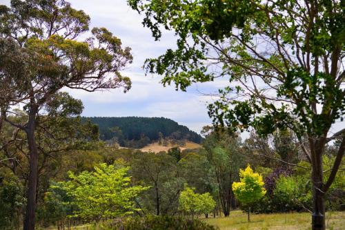 Заобикаляща среда, Margies on Mt Franklin 8 minutes from Daylesford in Mount Franklin