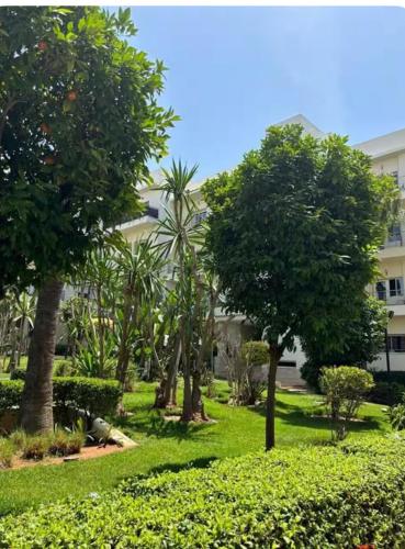 Luxueux appartement Bay view dans une résidence avec magnifique jardin (Luxueux appartement Bay view dans une residence avec magnifique jardin) in 신디바드