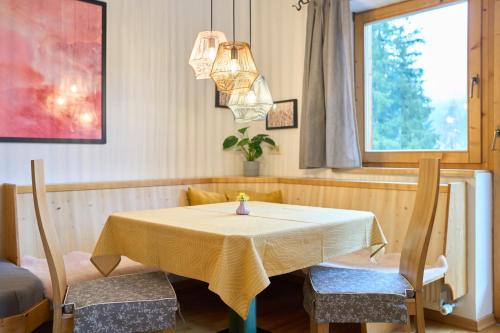 บริการและสิ่งอำนวยความสะดวก, Das Habitat in พลัทซ์