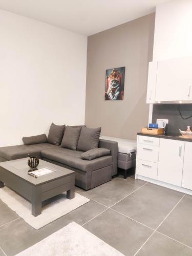 Cozy Apartments in Central Location with Free Parking, Vienne (photo 11)