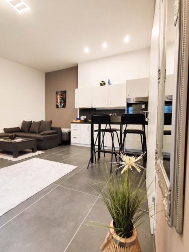 Cozy Apartments in Central Location with Free Parking, Vienne (photo 5)