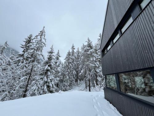 Chalet Dachstein, Ramsau am Dachstein (fotografie 7)
