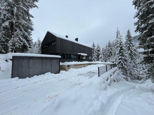 Chalet Dachstein, Ramsau am Dachstein (fotografie 8)