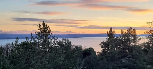  3-bedroom apartment with spectacular view in Neuenburg