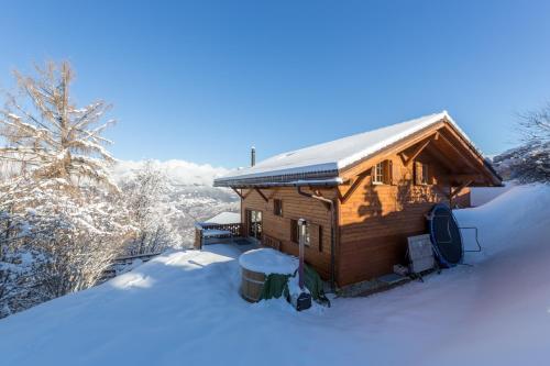 Chalet Nid Blanc - image 6