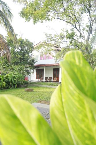 Rice Villa Ahangama - image 2