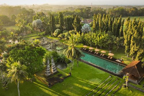 ザ チェディ クラブ アット タナー ガジャ15