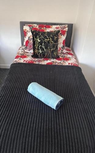 London House near Greenwich, Free Parking, Free WIFI, Лондон (фото 10)