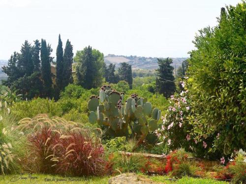Villa La Lumia B&B Suites & Apartments - image 12