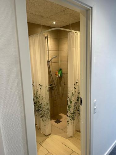 Shower, Billund Mini Hostel room 15 in Billund