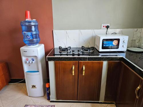 RAX Apartment2 in Morogoro