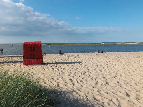 Gollwitzer Park Eulennest