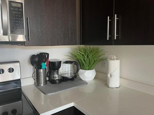 Resort-Inspired Bliss- Modern & Cozy Apartment Resort-Inspired Bliss- Modern & Cozy Apartment