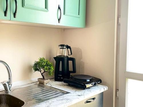 Historical Flat Close to İstiklal Avenue, Istanbul (foto 10)