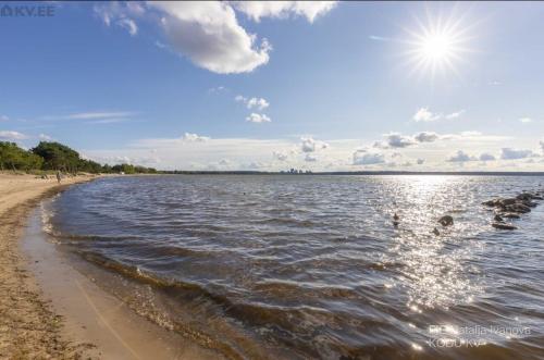 Calm, Tallinn (photo 2)
