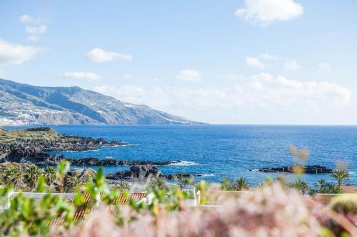Apartamentos Cancajos